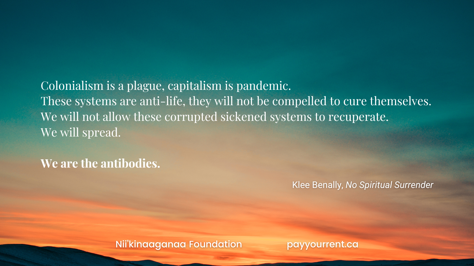 Anybody Can Be an Antibody